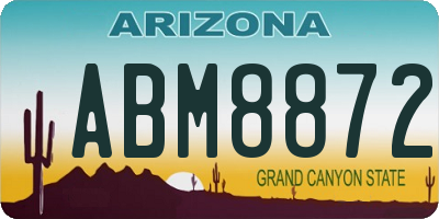 AZ license plate ABM8872