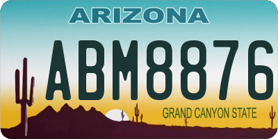 AZ license plate ABM8876
