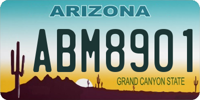 AZ license plate ABM8901