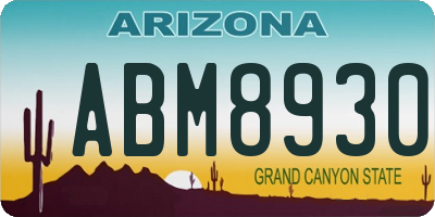 AZ license plate ABM8930