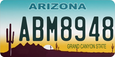 AZ license plate ABM8948