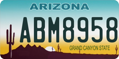 AZ license plate ABM8958