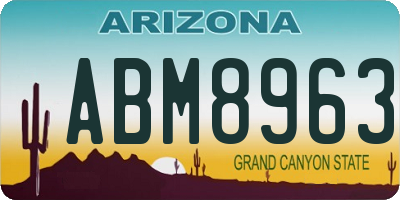 AZ license plate ABM8963