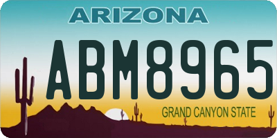 AZ license plate ABM8965