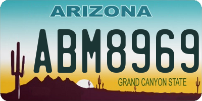 AZ license plate ABM8969