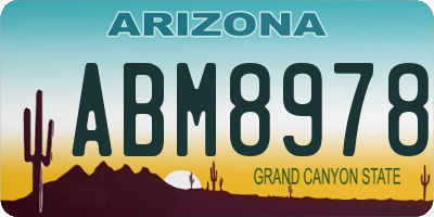 AZ license plate ABM8978