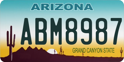AZ license plate ABM8987