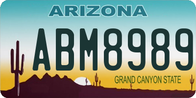 AZ license plate ABM8989