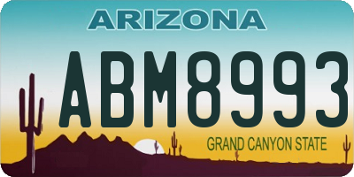AZ license plate ABM8993