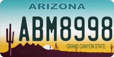AZ license plate ABM8998