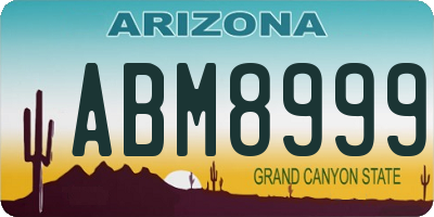 AZ license plate ABM8999