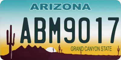 AZ license plate ABM9017