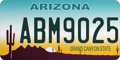 AZ license plate ABM9025