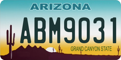 AZ license plate ABM9031