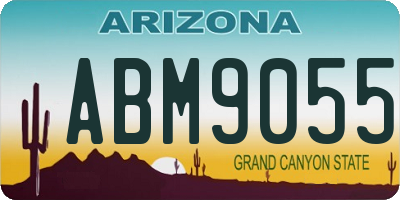 AZ license plate ABM9055