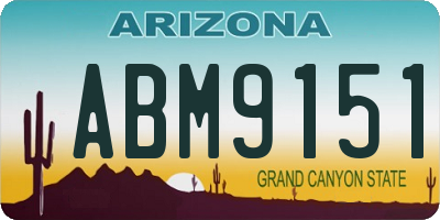 AZ license plate ABM9151