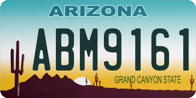 AZ license plate ABM9161