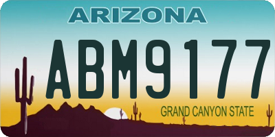 AZ license plate ABM9177