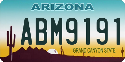 AZ license plate ABM9191