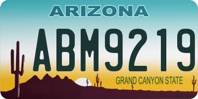 AZ license plate ABM9219