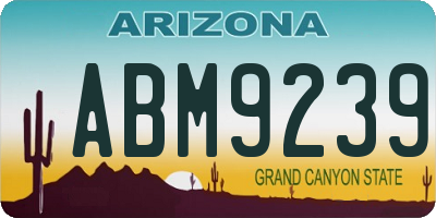 AZ license plate ABM9239