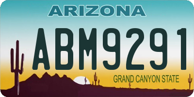AZ license plate ABM9291