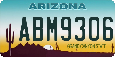 AZ license plate ABM9306