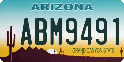 AZ license plate ABM9491