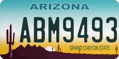 AZ license plate ABM9493