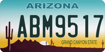 AZ license plate ABM9517