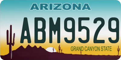 AZ license plate ABM9529