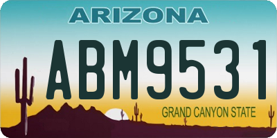 AZ license plate ABM9531