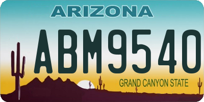 AZ license plate ABM9540
