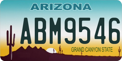 AZ license plate ABM9546