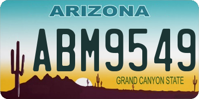 AZ license plate ABM9549
