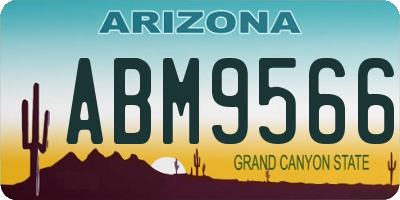 AZ license plate ABM9566