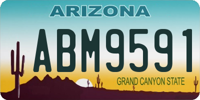AZ license plate ABM9591