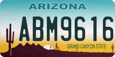 AZ license plate ABM9616