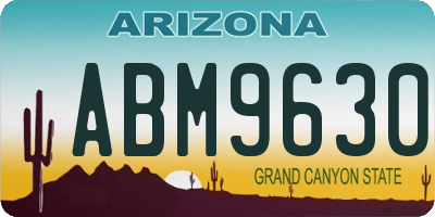 AZ license plate ABM9630