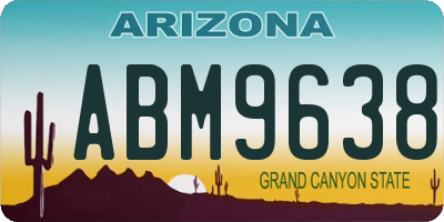 AZ license plate ABM9638
