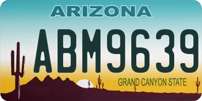 AZ license plate ABM9639