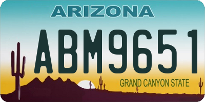 AZ license plate ABM9651