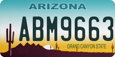 AZ license plate ABM9663