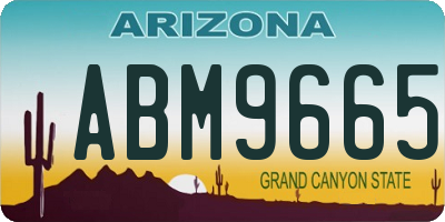AZ license plate ABM9665