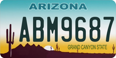 AZ license plate ABM9687