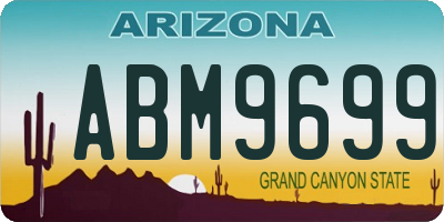 AZ license plate ABM9699