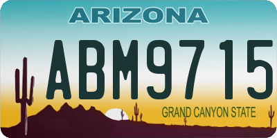AZ license plate ABM9715