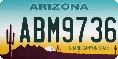 AZ license plate ABM9736