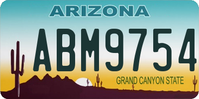 AZ license plate ABM9754