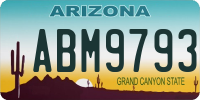 AZ license plate ABM9793